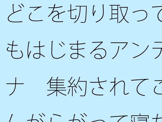 d 643558pl