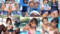 d 644295pl