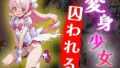d 644453pl