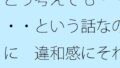 d 644638pl