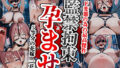 d 645104pl