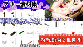 d 645213pl