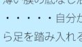 d 645261pl