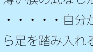 d 645261pl