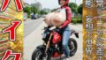 d 645669pl