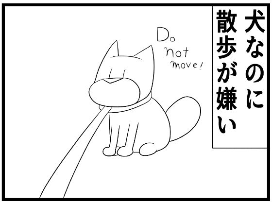 d 645843pl