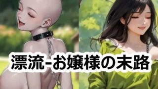 d 645847pl
