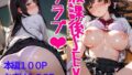 d 646206pl