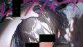 d 647177pl