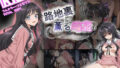 d 647274pl