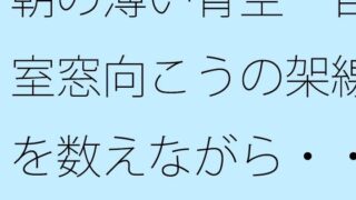 d 647364pl