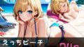d 648134pl