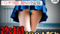 d 648255pl
