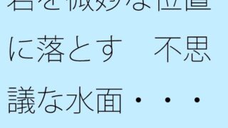 d 648822pl