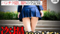 d 650097pl