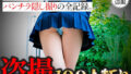 d 650103pl