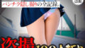 d 650106pl