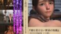 d 651080pl