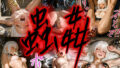 d 651113pl