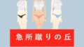 d 651284pl