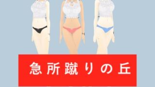d 651284pl