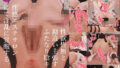 d 651716pl