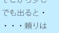 d 652306pl