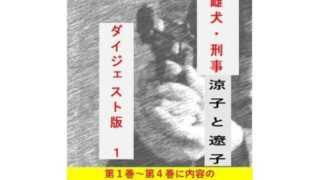 d 652532pl
