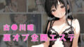 d 652733pl