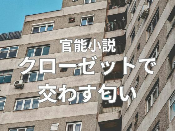 d 653093pl
