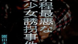 d 653107pl