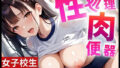 d 653137pl