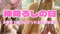 d 653178pl