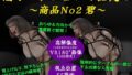 d 654038pl