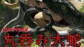 d 654271pl