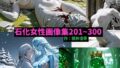 d 654303pl