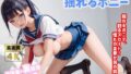 d 655253pl