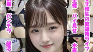 d 655537pl