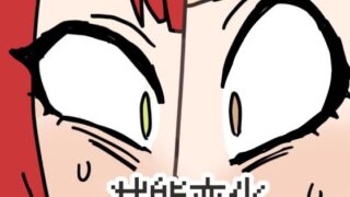 d 656066pl