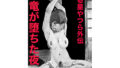 d 656603pl