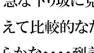 d 657584pl