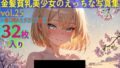 d 581146pl