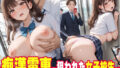 d 635563pl