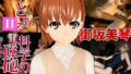 d 641711pl