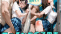 d 656262pl