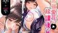 d 656273pl