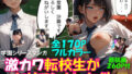d 656540pl