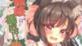 d 657928pl