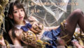 d 658156pl