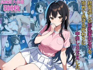 終電逃した巨乳家出女子を泊めてあげる代わりに中出しSEXした【NTR】【種付けプレス】【女子校生】【CG500枚】【無料試聴】 37 d 658258pl
